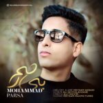 دانلود آهنگ محمد پارسا بی رحم